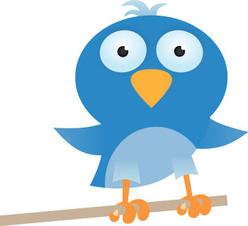 Social Media - Twitter Bird